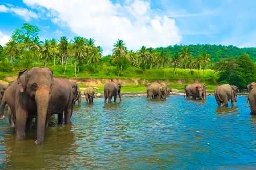 Sri Lanka Destinations