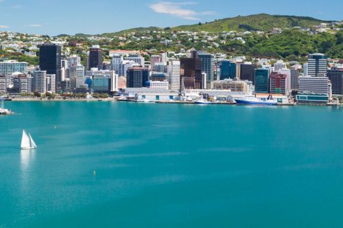 Wellington Flight Deals